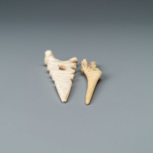 Two burins or engraving tools in ivory and bone, 16th and 19th C. — photo 4
