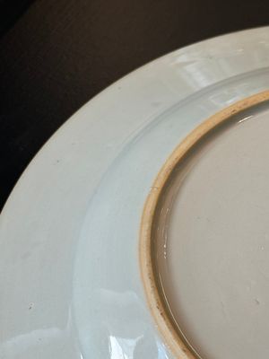 Two Chinese armorial export plates with arms of Knyff and arms of Bistrate impaling Proli for the Belgian market, Qianlong — 照片 11