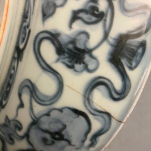 Two Chinese blue and white dishes with a peacock and with fish, Hongzhi — photo 12