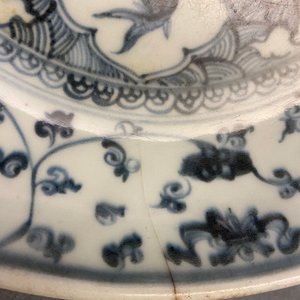 Two Chinese blue and white dishes with a peacock and with fish, Hongzhi — photo 8