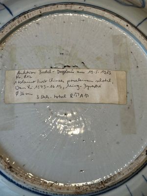 Two Chinese blue and white kraak porcelain dishes with birds and insects, Wanli — 照片 11