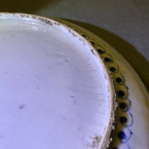 Two Chinese blue and white kraak porcelain dishes with deer and a grasshopper, Wanli — photo 32