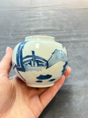 Two Chinese blue and white 'Long Eliza' jarlets, Kangxi — 照片 3