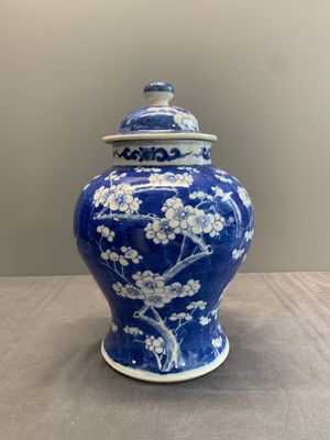 Two Chinese blue and white 'prunus on cracked ice' vases and covers, Kangxi mark, 19th C. — foto 12