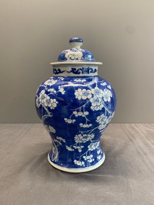 Two Chinese blue and white 'prunus on cracked ice' vases and covers, Kangxi mark, 19th C. — foto 13