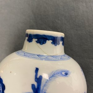 Two Chinese blue and white vases, Kangxi — 照片 19