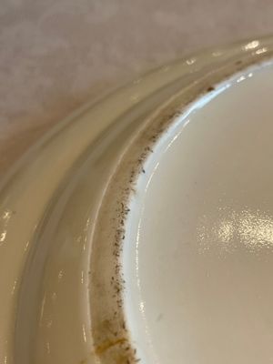 Two Chinese Canton famille rose plates and a ewer, 18/19th C. — photo 14