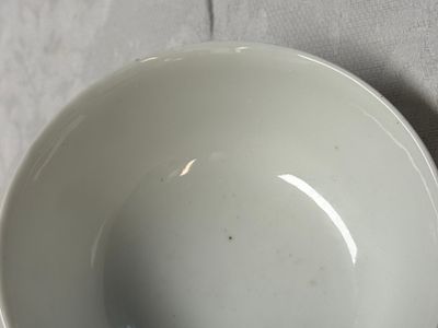 Two Chinese famille rose bowls, a water pot and a saucer — photo 20