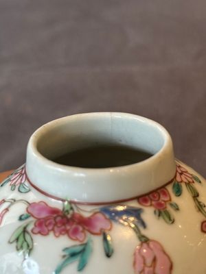 Two Chinese famille rose teapots and a tea caddy, Yongzheng/Qianlong — photo 12