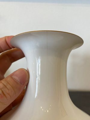 Two Chinese famille rose vases, Cao Mulin 曹木林 and Wang Bu 王步 mark, one dated 1980 — 照片 13