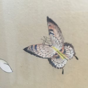 Two Chinese framed natural subject paintings — photo 11