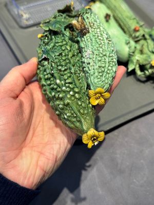 Two Chinese polychrome groups of cucumbers and bitter melons with insects, 19/20th C. — photo 5