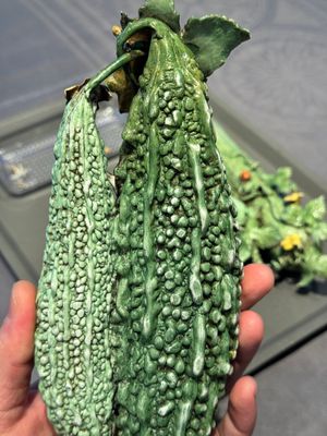 Two Chinese polychrome groups of cucumbers and bitter melons with insects, 19/20th C. — photo 8