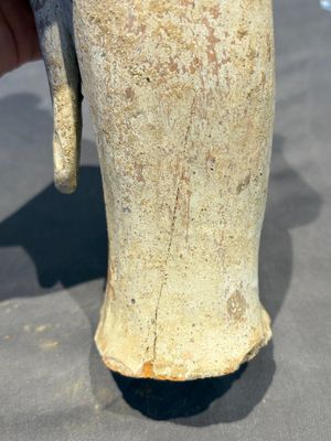 Two Chinese polychrome pottery figures and a female head, Tang — photo 16