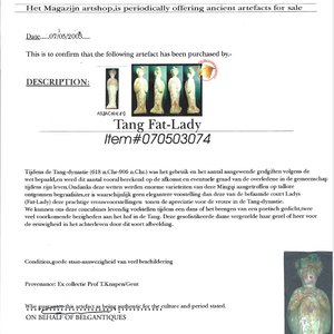 Two Chinese polychrome pottery figures and a female head, Tang — photo 15
