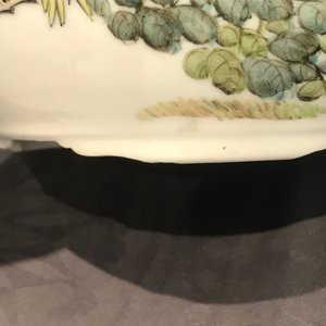 Two Chinese qianjiang cai covered bowls with birds, 19/20th C. — photo 13