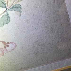 Two framed Chinese paintings of a landscape and a bird on branch, 18/19th C. — 照片 9