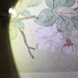 Two framed Chinese paintings of a landscape and a bird on branch, 18/19th C. — 照片 10