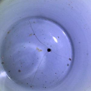 Un aquarium en porcelaine de Chine bleu et blanc et une jardinière en famille rose, 19ème et Yongzheng — photo 14