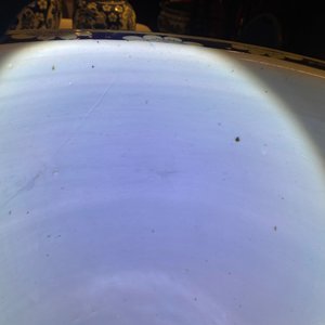 Un aquarium en porcelaine de Chine en bleu et blanc, 19ème — photo 26