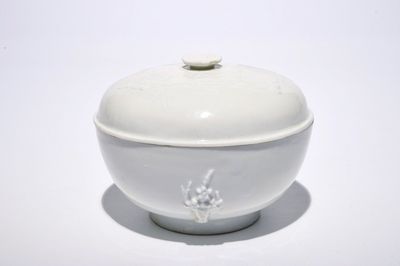 Un bol couvert en porcelaine blanc de Chine de Dehua à décor appliqué, 19ème