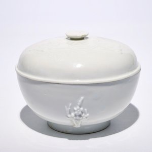 Un bol couvert en porcelaine blanc de Chine de Dehua à décor appliqué, 19ème — photo 1