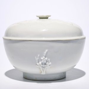 Un bol couvert en porcelaine blanc de Chine de Dehua à décor appliqué, 19ème — photo 2