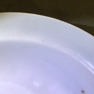 Un bol en porcelaine de Chine rouge de fer à décor de phénix, 19ème — photo 19