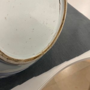 Un brûle-parfum en porcelaine de Chine en bleu et blanc, Kangxi — photo 19