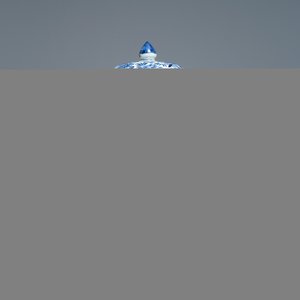 Un gobelet couvert en porcelaine de Chine en bleu et blanc, Kangxi — photo 1