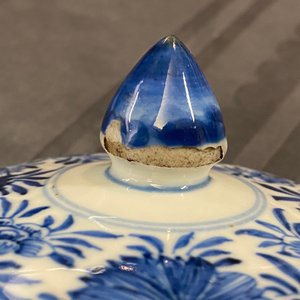 Un gobelet couvert en porcelaine de Chine en bleu et blanc, Kangxi — photo 9