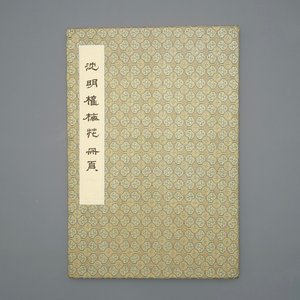 Un grand album chinois de peintures de branches fleuries, 19/20ème — photo 1
