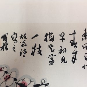 Un grand album chinois de peintures de branches fleuries, 19/20ème — photo 25