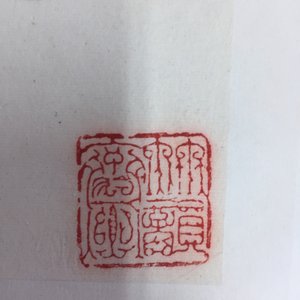 Un grand album chinois de peintures de branches fleuries, 19/20ème — photo 26