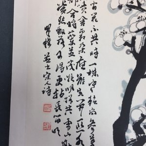 Un grand album chinois de peintures de branches fleuries, 19/20ème — photo 27