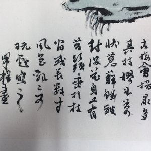 Un grand album chinois de peintures de branches fleuries, 19/20ème — photo 29