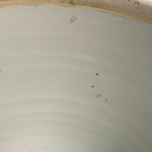 Un grand bol couvert en porcelaine de Chine famille verte, Kangxi — photo 14