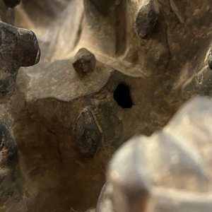Un grand brûle-parfum couvert en bronze à décor d'animaux dans un paysage montagneux, Ming — photo 20