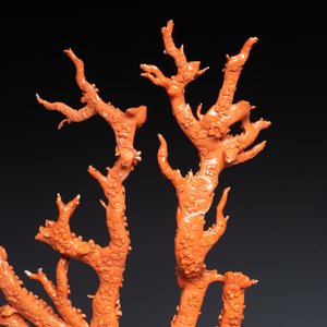 Un grand groupe figurant des oiseaux sur branches fleuries en corail rouge sculpté, Chine, 19/20ème — photo 12