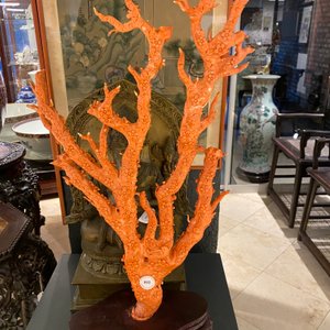 Un grand groupe figurant des oiseaux sur branches fleuries en corail rouge sculpté, Chine, 19/20ème — photo 34