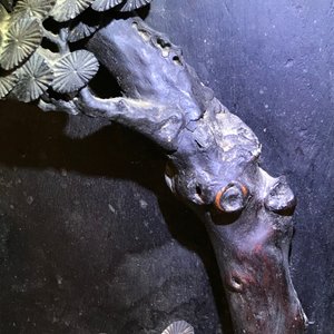 Un grand panneau en bois de zitan, jade et turquoise, encadré et sur piètement en bois de hongmu, Qianlong — photo 47