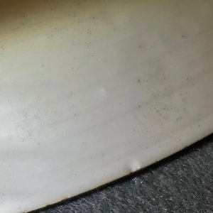 Un grand plat armorié en porcelaine de Chine, Yongzheng/Qianlong — photo 7