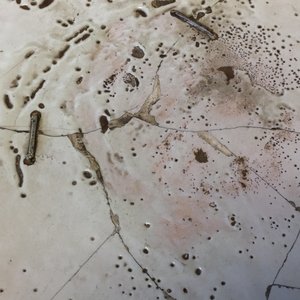 Un grand plat en majolique italienne, Castelli, atelier de Francesco Grue, 1ère moitié du 17ème — photo 5