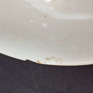 Un grand plat en porcelaine de Chine famille rose aux figures dans un jardin, Kangxi/Yongzheng, début du 18ème — photo 6