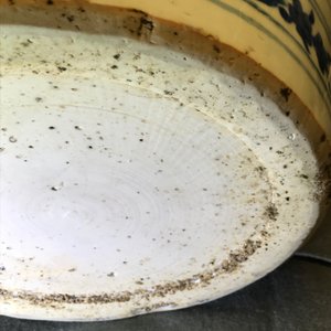 Un grand pot couvert en porcelaine de Chine bleu et blanc, Wanli, Ming — photo 19