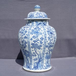 Un grand vase couvert en porcelaine de Chine bleu et blanc, Kangxi — photo 20