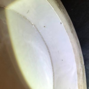 Un grand vase de forme cong en porcelaine de Chine bleu et blanc, 18/19ème — photo 15