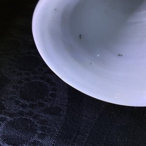 Un grand vase triple gourde en porcelaine de Chine bleu et blanc, Kangxi — photo 21