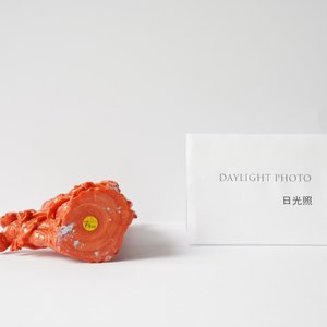 Un groupe en corail rouge figurant deux femmes et un enfant, Chine, 19/20ème — photo 12