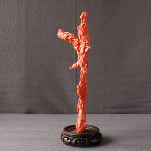 Un groupe en corail rouge sculpté figurant une branche fleurie aux oiseaux, Chine, 19ème — photo 11